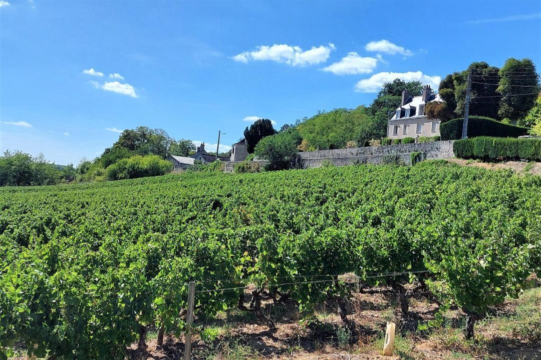 Le Racine / Colbert - Bords De Loire Lägenhet Tours Exteriör bild